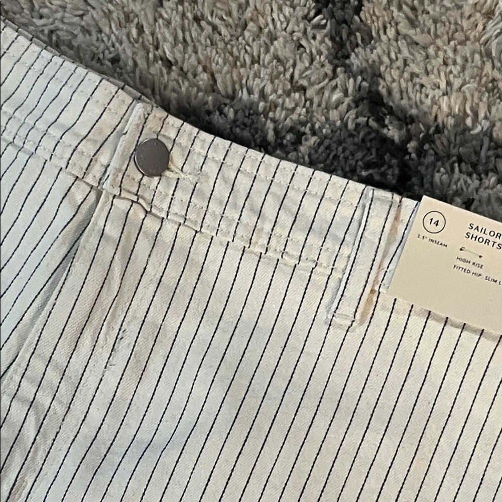 Universal Thread High Rise Striped Shorts - Cream and Blue {14} - Picture 4 of 7